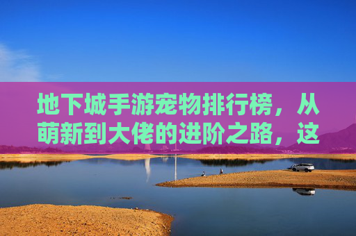 地下城手游宠物排行榜，从萌新到大佬的进阶之路，这些宠物才是真香！