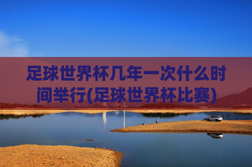 足球世界杯几年一次什么时间举行(足球世界杯比赛)
