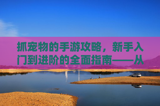 抓宠物的手游攻略,新手入门到进阶的全面指南——从抓宠到养成,玩转游戏新体验