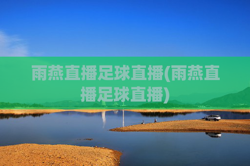 雨燕直播足球直播(雨燕直播足球直播)