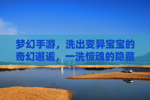 梦幻手游，洗出变异宝宝的奇幻邂逅，一洗惊魂的隐藏天赋觉醒记，梦幻手游，洗出变异宝宝的奇幻邂逅，一洗惊魂的隐藏天赋觉醒记