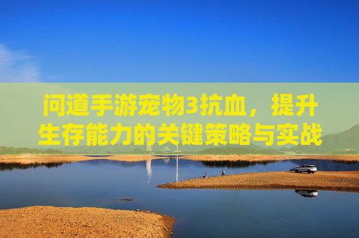 问道手游宠物3抗血，提升生存能力的关键策略与实战技巧，问道手游宠物3抗血，提升生存能力的关键策略与实战技巧