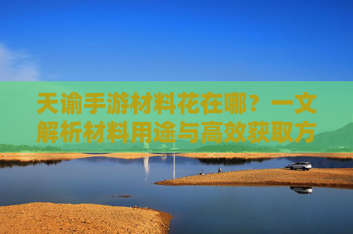 天谕手游材料花在哪？一文解析材料用途与高效获取方法，天谕手游材料花在哪？一文解析材料用途与高效获取方法