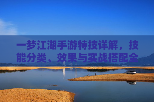 一梦江湖手游特技详解，技能分类、效果与实战搭配全解析，一梦江湖手游特技详解，技能分类、效果与实战搭配全解析