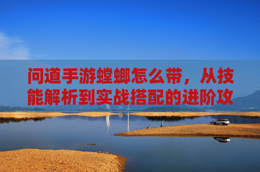 问道手游螳螂怎么带，从技能解析到实战搭配的进阶攻略，问道手游螳螂带法，技能解析与实战搭配进阶攻略