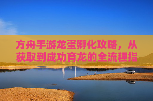 方舟手游龙蛋孵化攻略,从获取到成功育龙的全流程指南,方舟手游龙蛋孵化攻略,从获取到成功育龙的全流程指南