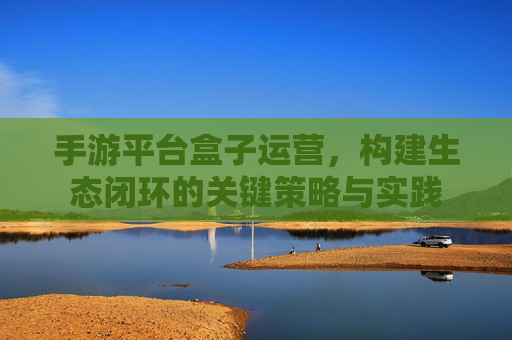 手游平台盒子运营,构建生态闭环的关键策略与实践