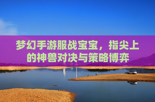 梦幻手游服战宝宝，指尖上的神兽对决与策略博弈