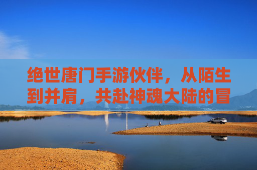 绝世唐门手游伙伴,从陌生到并肩,共赴神魂大陆的冒险之旅,绝世唐门手游,伙伴并肩,共赴神魂大陆的冒险之旅