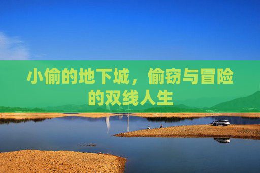 小偷的地下城,偷窃与冒险的双线人生