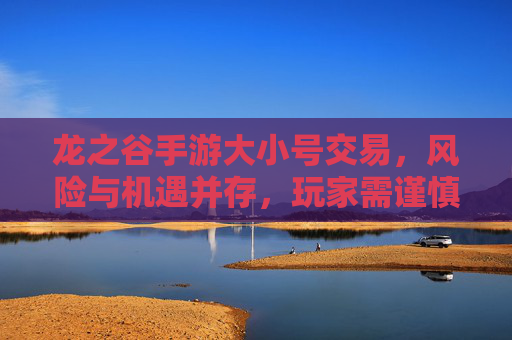 龙之谷手游大小号交易,风险与机遇并存,玩家需谨慎应对