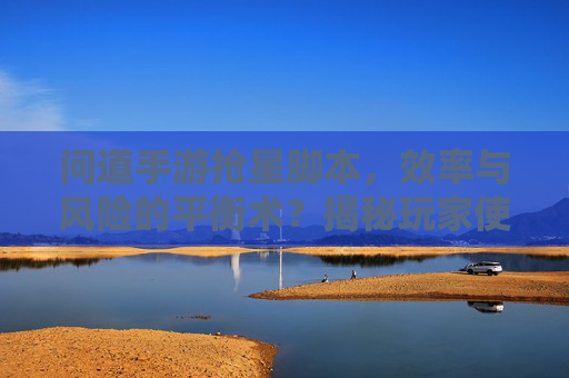 问道手游抢星脚本，效率与风险的平衡术？揭秘玩家使用背后的真相与建议