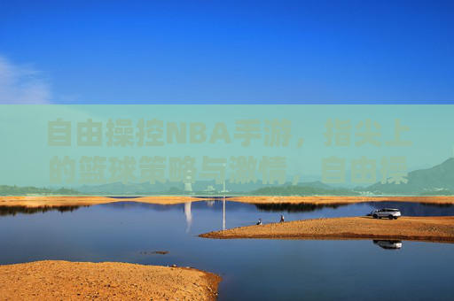自由操控NBA手游,指尖上的篮球策略与激情,自由操控NBA手游,指尖上的篮球策略与激情