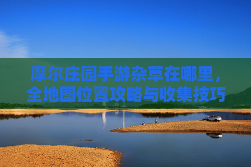 摩尔庄园手游杂草在哪里，全地图位置攻略与收集技巧