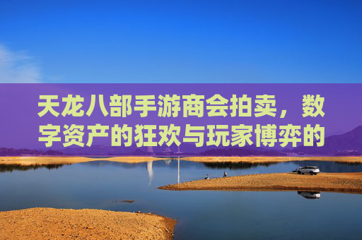 天龙八部手游商会拍卖，数字资产的狂欢与玩家博弈的舞台，天龙八部手游商会拍卖，数字资产的狂欢与玩家博弈的舞台