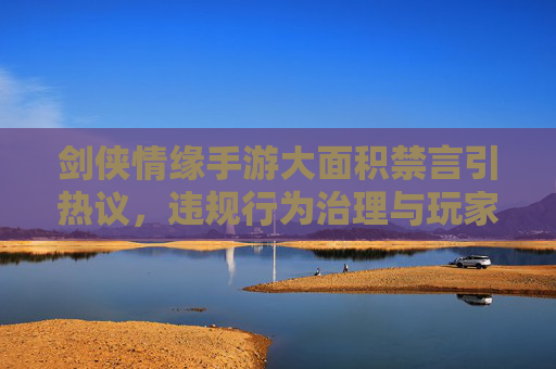 剑侠情缘手游大面积禁言引热议，违规行为治理与玩家体验的平衡挑战，剑侠情缘手游大面积禁言引热议，违规行为治理与玩家体验的平衡挑战