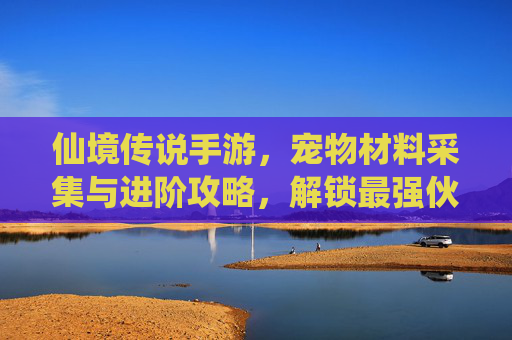 仙境传说手游，宠物材料采集与进阶攻略，解锁最强伙伴的养成之路