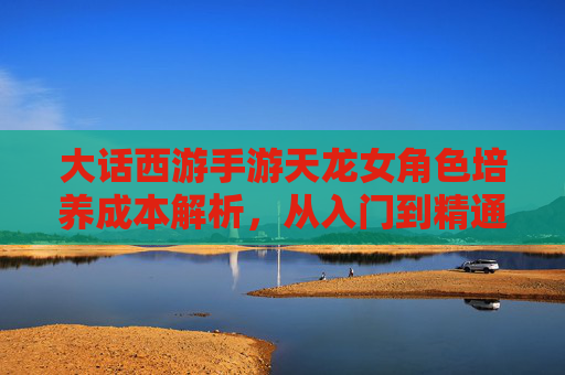 大话西游手游天龙女角色培养成本解析，从入门到精通的投入指南，大话西游手游天龙女角色培养成本解析，从入门到精通的投入指南