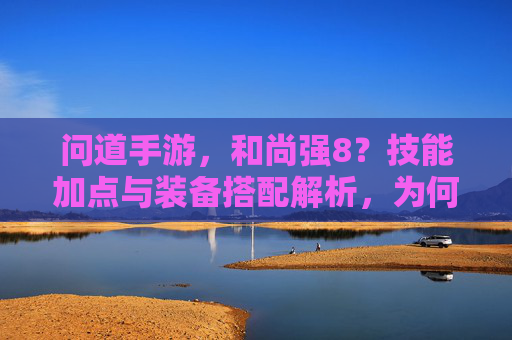 问道手游，和尚强8？技能加点与装备搭配解析，为何角色进阶如此高效？