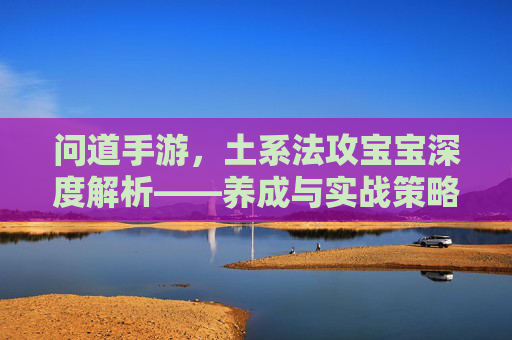 问道手游，土系法攻宝宝深度解析——养成与实战策略全指南，问道手游土系法攻宝宝深度解析——养成与实战策略全指南