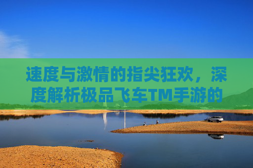 速度与激情的指尖狂欢，深度解析极品飞车TM手游的极致体验，速度与激情的指尖狂欢，深度解析极品飞车TM手游的极致体验
