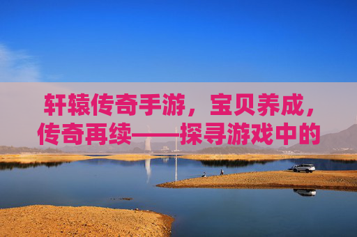 轩辕传奇手游，宝贝养成，传奇再续——探寻游戏中的珍稀宝贝与成长乐趣，轩辕传奇手游，珍稀宝贝养成与成长乐趣，传奇再续的探索之旅