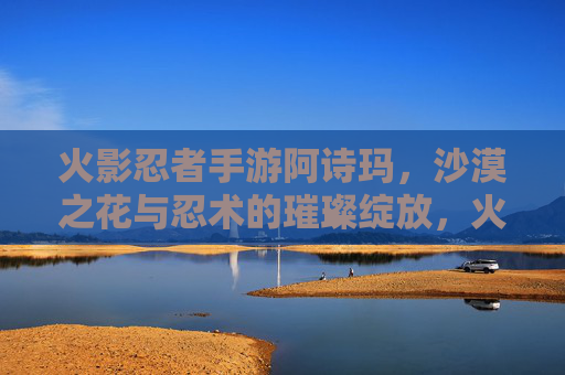 火影忍者手游阿诗玛,沙漠之花与忍术的璀璨绽放,火影忍者手游阿诗玛,沙漠之花与忍术的璀璨绽放