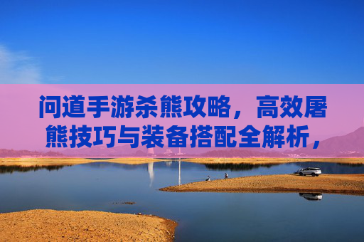 问道手游杀熊攻略，高效屠熊技巧与装备搭配全解析，问道手游杀熊攻略，高效屠熊技巧与装备搭配全解析