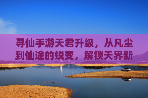 寻仙手游天君升级,从凡尘到仙途的蜕变,解锁天界新篇章
