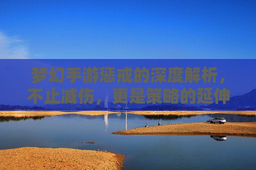 梦幻手游惩戒的深度解析，不止减伤，更是策略的延伸
