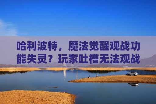 哈利波特，魔法觉醒观战功能失灵？玩家吐槽无法观战的痛点与解决方案探讨，哈利波特，魔法觉醒观战功能失灵？玩家痛点与解决方案探讨