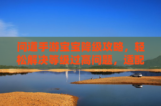 问道手游宝宝降级攻略，轻松解决等级过高问题，适配任务与装备需求，问道手游宝宝降级攻略，轻松解决等级过高问题，适配任务与装备需求