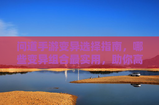 问道手游变异选择指南，哪些变异组合最实用，助你高效通关？问道手游变异选择指南，哪些变异组合最实用，助你高效通关？