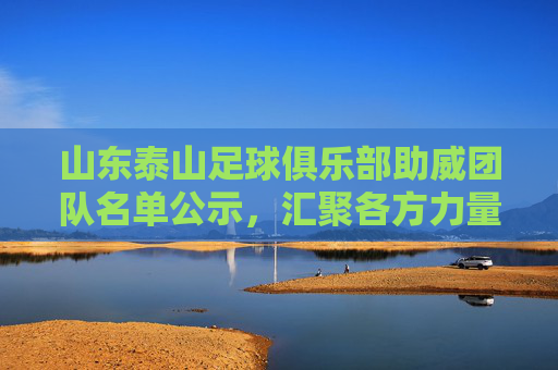 山东泰山足球俱乐部助威团队名单公示，汇聚各方力量，为绿茵梦想注入澎湃动力