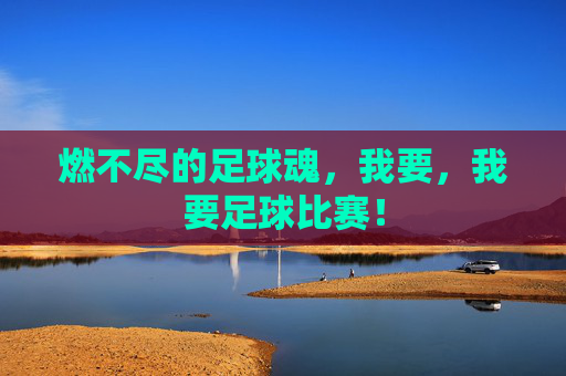 燃不尽的足球魂，我要，我要足球比赛！