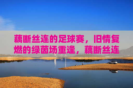 藕断丝连的足球赛，旧情复燃的绿茵场重逢，藕断丝连的足球赛，旧情复燃的绿茵场重逢