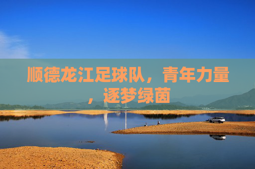 顺德龙江足球队，青年力量，逐梦绿茵