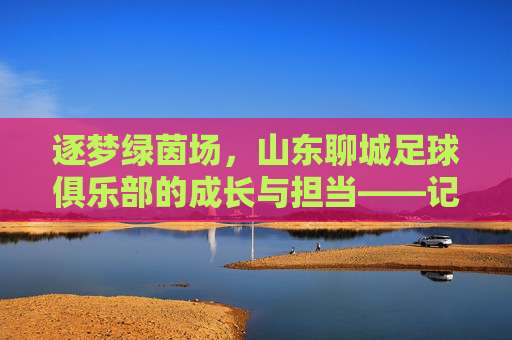 逐梦绿茵场，山东聊城足球俱乐部的成长与担当——记山东聊城市足球俱乐部的发展之路，逐梦绿茵场，山东聊城足球俱乐部的成长与担当——记山东聊城市足球俱乐部的发展之路