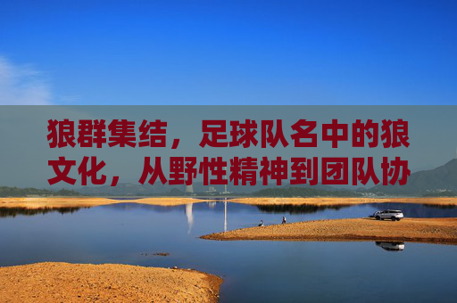 狼群集结，足球队名中的狼文化，从野性精神到团队协作的传承