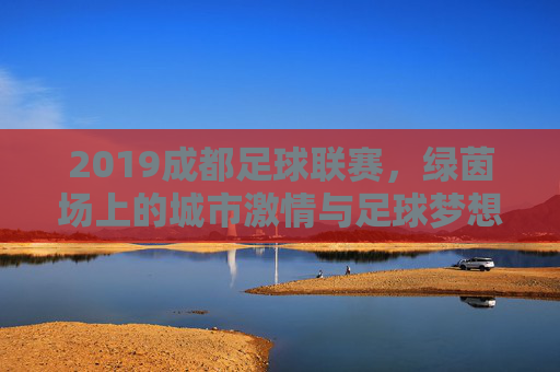 2019成都足球联赛，绿茵场上的城市激情与足球梦想，2019成都足球联赛，绿茵场上的城市激情与足球梦想
