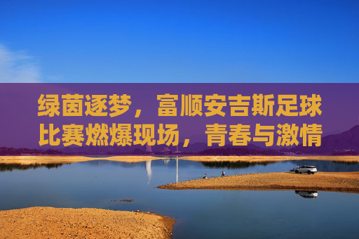 绿茵逐梦，富顺安吉斯足球比赛燃爆现场，青春与激情的碰撞，绿茵逐梦，富顺安吉斯足球比赛燃爆现场，青春与激情的碰撞