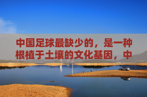 中国足球最缺少的，是一种根植于土壤的文化基因，中国足球最缺少的，是一种根植于土壤的文化基因