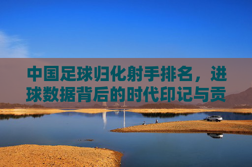 中国足球归化射手排名，进球数据背后的时代印记与贡献解析，中国足球归化射手进球数据，时代印记与历史贡献解析