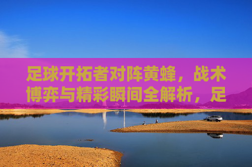 足球开拓者对阵黄蜂,战术博弈与精彩瞬间全解析,足球开拓者对阵黄蜂,战术博弈与精彩瞬间全解析
