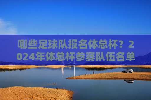 哪些足球队报名体总杯？2024年体总杯参赛队伍名单及赛事亮点解析，2024年体总杯参赛队伍名单及赛事亮点解析，哪些足球队报名体总杯？