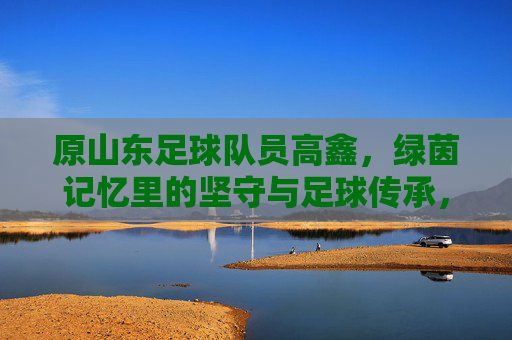 原山东足球队员高鑫,绿茵记忆里的坚守与足球传承,原山东足球队员高鑫,绿茵记忆里的坚守与足球传承