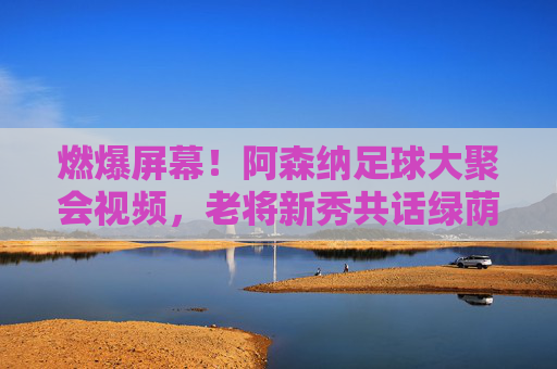 燃爆屏幕!阿森纳足球大聚会视频,老将新秀共话绿荫情,经典瞬间点燃球迷热血,燃爆屏幕!阿森纳老将新秀足球大聚会,共话绿荫情,经典瞬间点燃球迷热血
