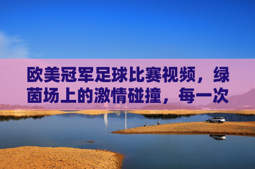 欧美冠军足球比赛视频，绿茵场上的激情碰撞，每一次精彩都值得永久珍藏