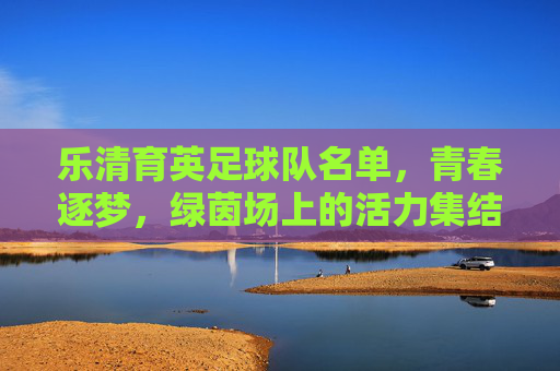 乐清育英足球队名单，青春逐梦，绿茵场上的活力集结，乐清育英足球队名单，青春逐梦，绿茵场上的活力集结