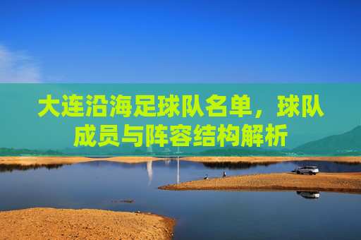 大连沿海足球队名单，球队成员与阵容结构解析